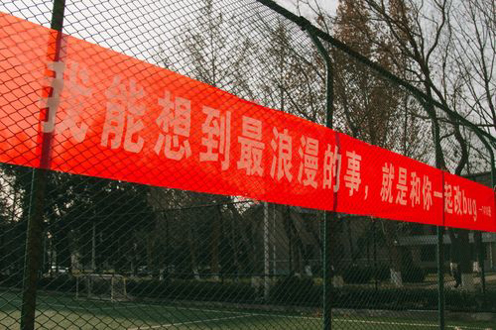 赛尔新材料